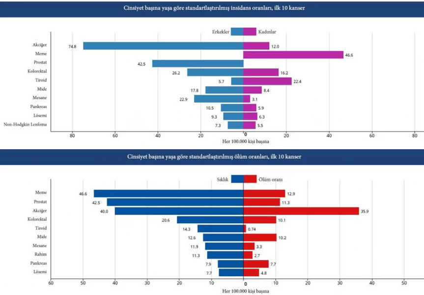 Türkiye'de En Çok Görülen Kanser Türleri